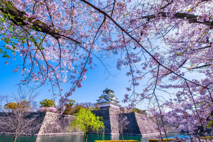 2 Days of Springtime Fun in Osaka