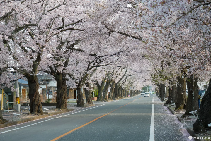 【2023】福島旅行觀光景點最新資訊！必訪觀光景點10選&推薦福島在地美食