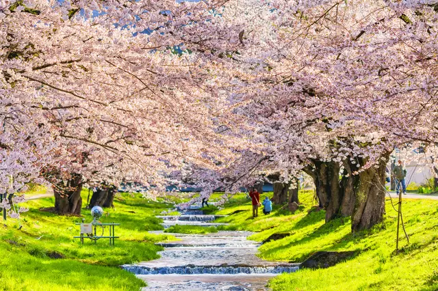 【2023】福島旅行觀光景點最新資訊！必訪觀光景點10選&推薦福島在地美食