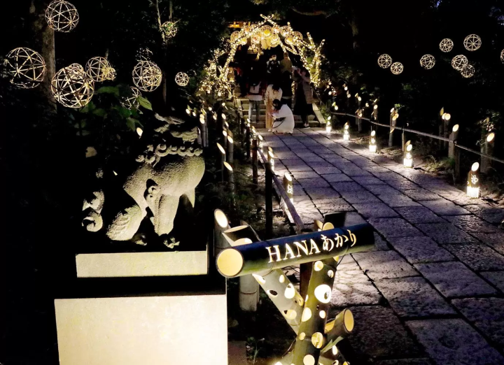 HANA BIYORI Plum Blossom Festival 2023: Welcome Spring at Yomiuriland’s Flower Park!