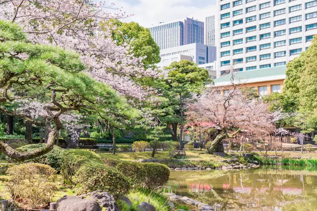 東京のお花見スポット19選&桜の見ごろ情報(2023年版)