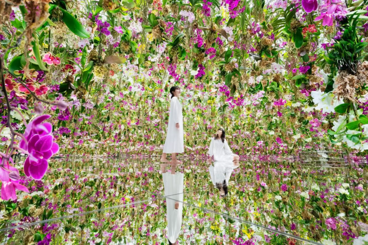 Experience Mesmerising Cherry Blossoms at teamLab Planets This Spring in Tokyo