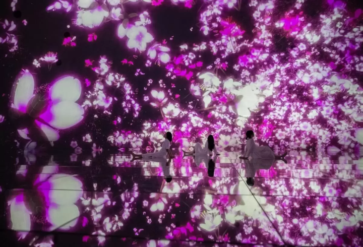 Experience Mesmerising Cherry Blossoms at teamLab Planets This Spring in Tokyo