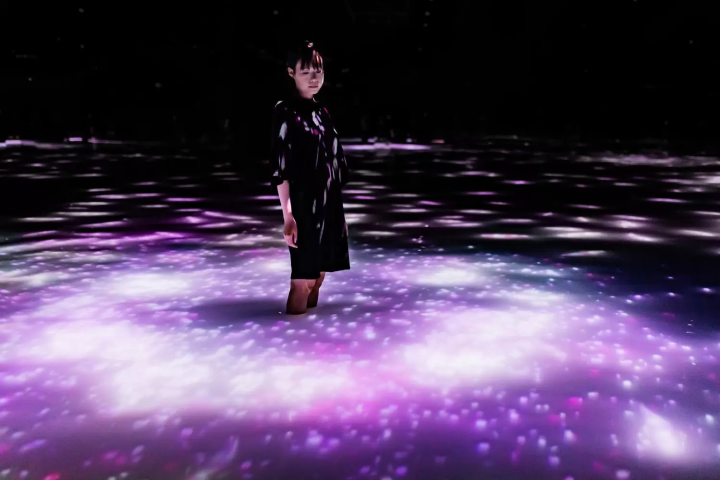 Experience Mesmerising Cherry Blossoms at teamLab Planets This Spring in Tokyo