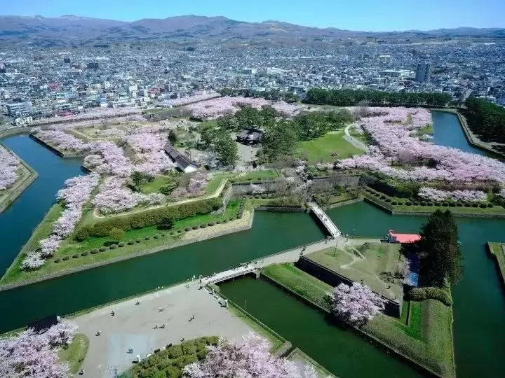 7 Top Cherry Blossom Spots In Hokkaido To Visit In 2023