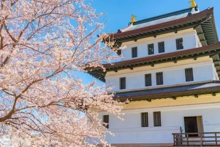 7 Top Cherry Blossom Spots In Hokkaido To Visit In 2023