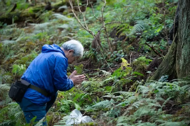 工芸の匠達の山。伝統構法の建築士とともに巡る、山守、大工、木工の匠との出会い。500年を旅する木の物語。