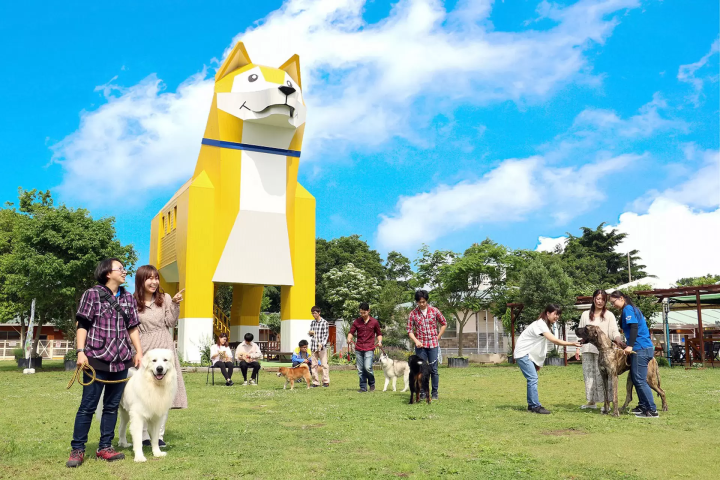 筑波山梅花祭典 茨城狗狗樂園景點