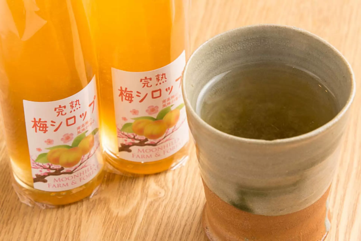 筑波山梅花祭典 梅咖啡