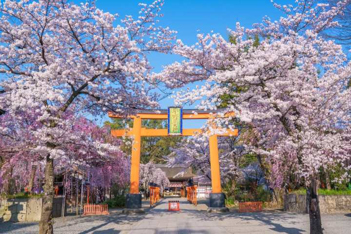 Some Secluded Sakura Spots in Kyoto - A 2 Day Sightseeing Itinerary