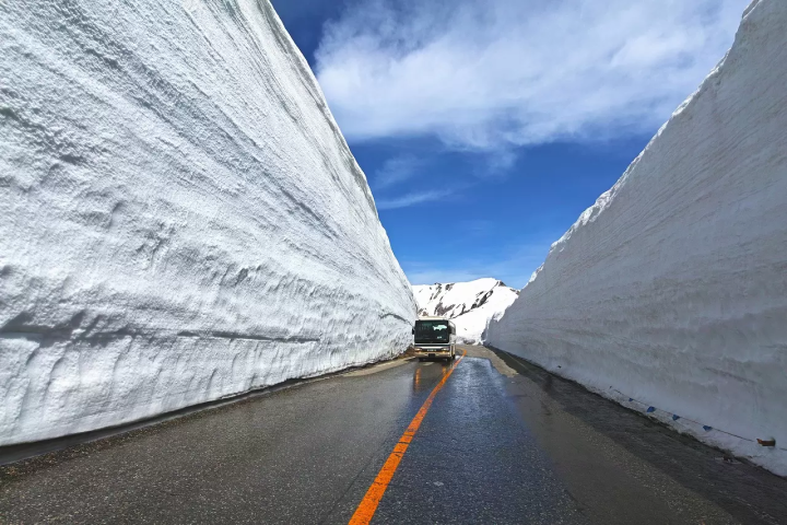 5 Must-See Incredible Winter Sights in Japan