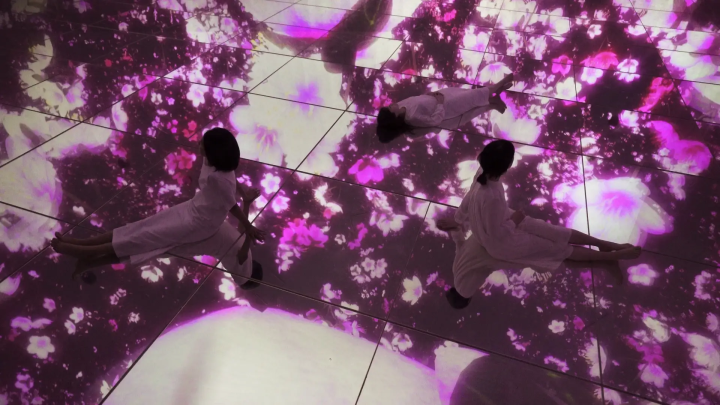 東京賞櫻 teamLab Planets TOKYO DMM 春季限定藝術展示