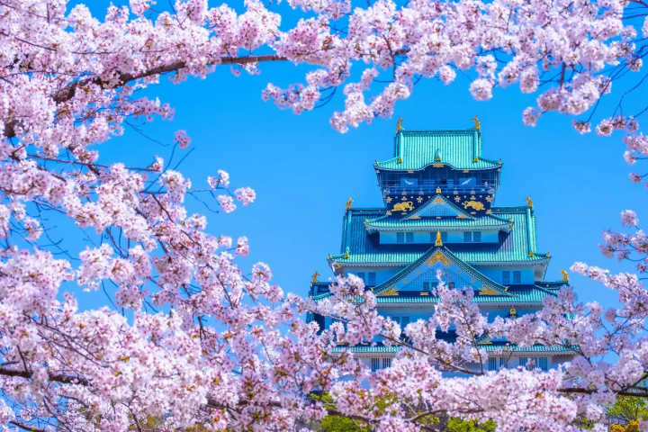 Osaka Cherry Blossoms: 10 Great Places to Visit in 2023