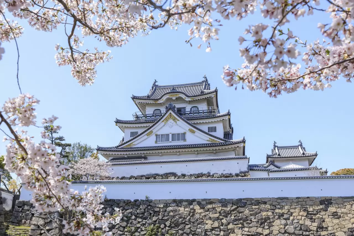 Osaka Cherry Blossoms: 10 Great Places to Visit in 2023
