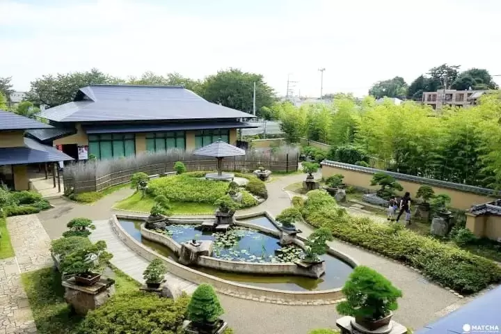 Omiya Bonsai Art Museum: Discover the True Beauty of Bonsai Trees