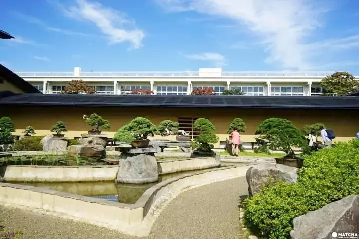 Omiya Bonsai Art Museum: Discover the True Beauty of Bonsai Trees