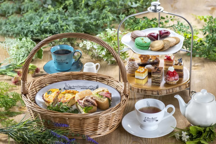 Fuji Shibazakura Festival 2023: A Carpet of Pink Flowers and Mt. Fuji 
