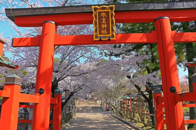 【2023】比京都更老的古都「奈良」賞櫻景點8選！寺廟、小鹿與櫻花共演絕景