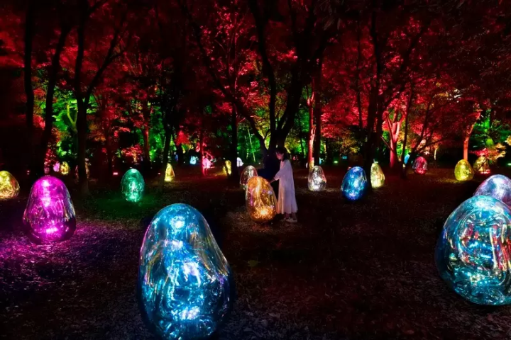 7 Interesting Museums to Visit in Osaka