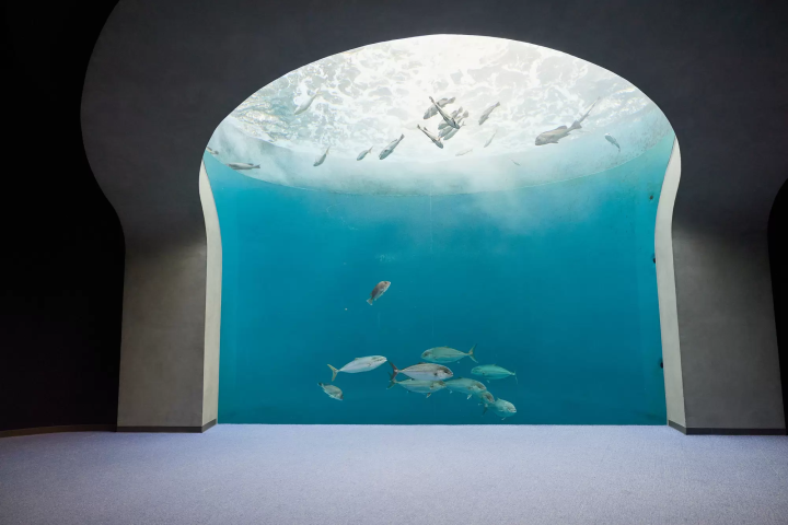 【四國】香川觀光指南保存版。交通手段、觀光地和特產、在一日內可往返的瀨戶內小島(小豆島・直島)等