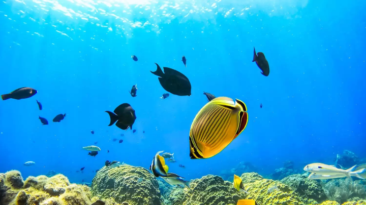 6 of Japan's Most Underrated Locations