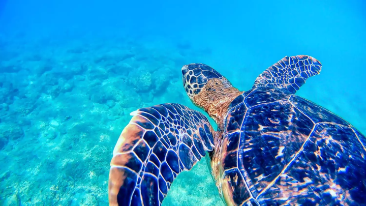 6 of Japan's Most Underrated Locations