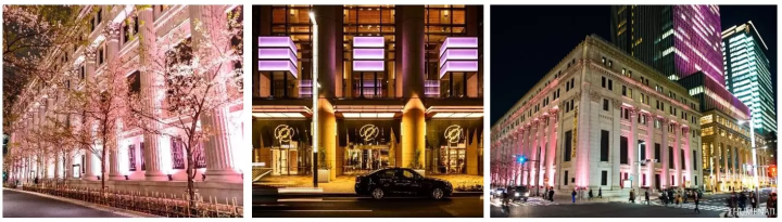 東京日本橋 SAKURA FES NIHONBASHI 2023 櫻花夜間點燈