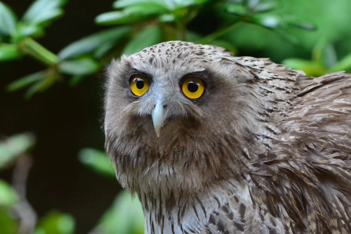 Experience 6 of Japan's Most Underrated Travel Destinations!