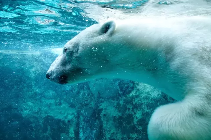 The Perfect Hokkaido Tour Itinerary All Planned Out For You