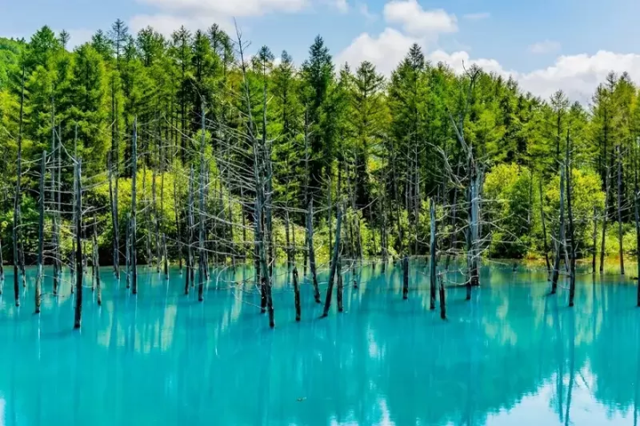 The Perfect Hokkaido Tour Itinerary All Planned Out For You