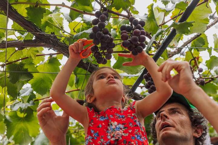 【手工藝之鄉 越前市】與親子一起盡享越前的魅力之旅