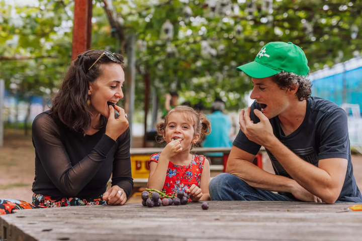 【手工藝之鄉 越前市】與親子一起盡享越前的魅力之旅