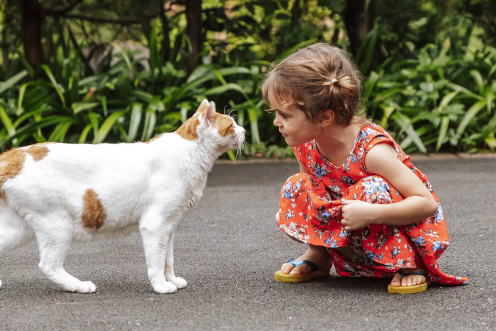 【手工藝之鄉 越前市】與親子一起盡享越前的魅力之旅