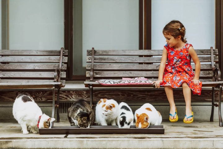 【手工藝之鄉 越前市】與親子一起盡享越前的魅力之旅