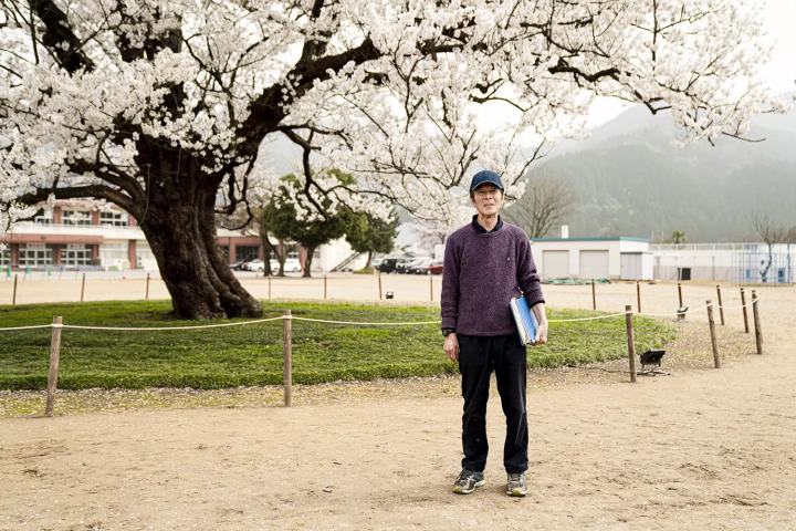 "CRAFT TOURISM ECHIZEN"　 A single cherry tree in the schoolyard that continues to bloom for over 150 years