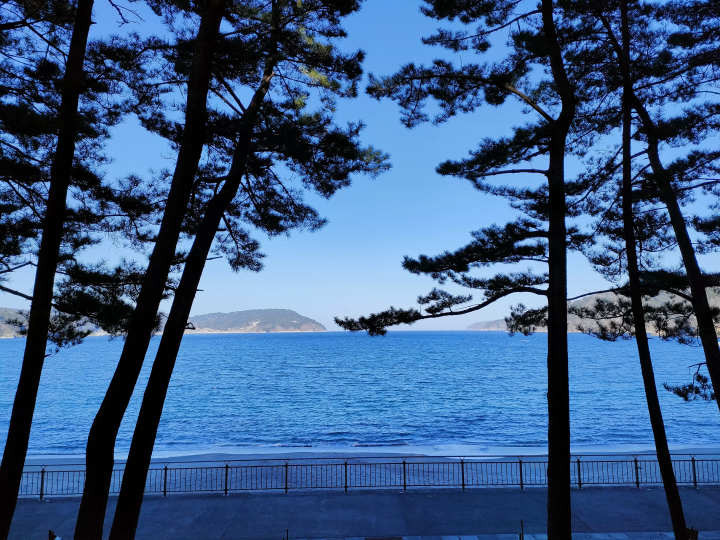 [釜石]从仙台伸出双腿，探索三陆海岸2天1夜[东北/岩手]