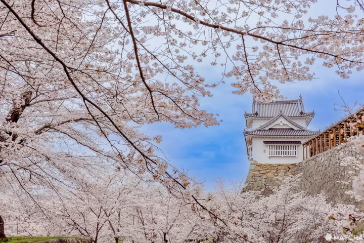 【岡山倉敷之旅導覽】觀光景點、美食、溫泉、活動、交通看這篇就足夠!