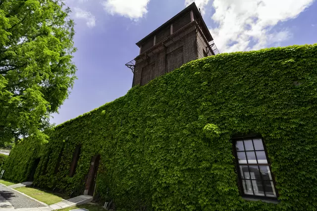 【岡山倉敷之旅導覽】觀光景點、美食、溫泉、活動、交通行程看這篇就足夠!