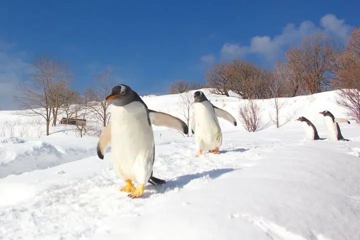 北海道 小樽水族館