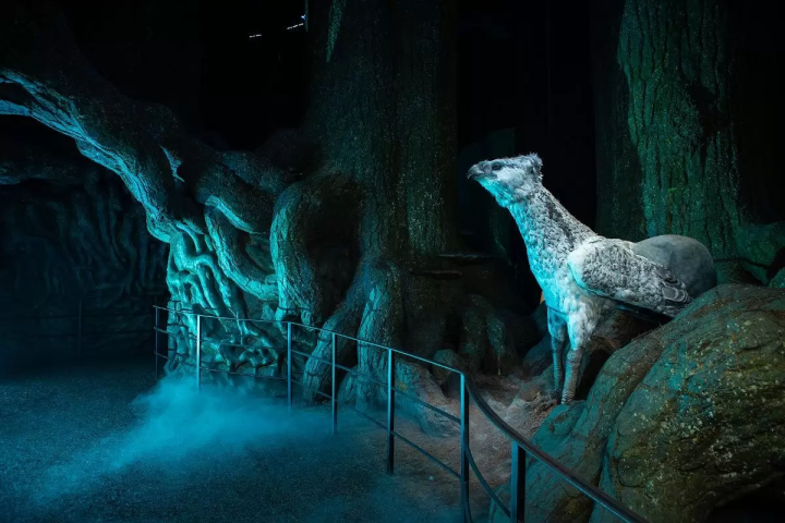 Book Your Tickets! Harry Potter Studio Tour Tokyo Opening on June 16, 2023
