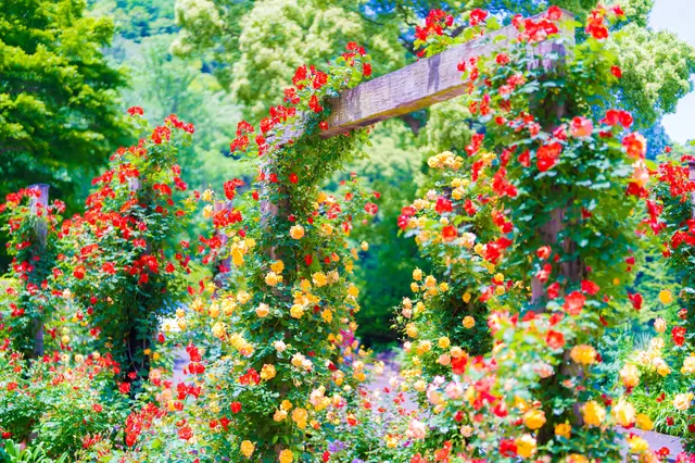 热海旅游完全指南〜观光景点、温泉住宿、活动等【2023年版】