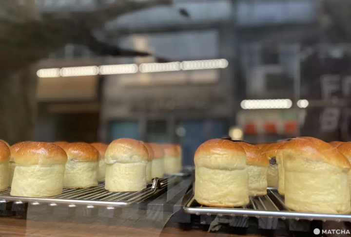 热海旅游完全指南〜观光景点、温泉住宿、活动等【2023年版】