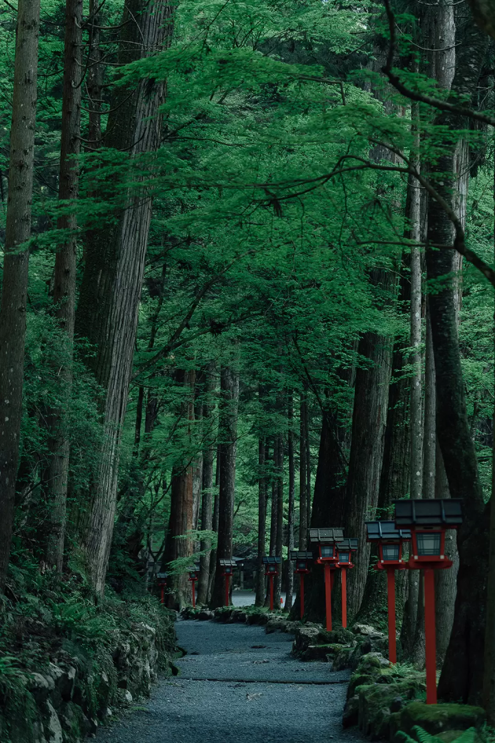 京都「貴船神社」初夏點燈活動