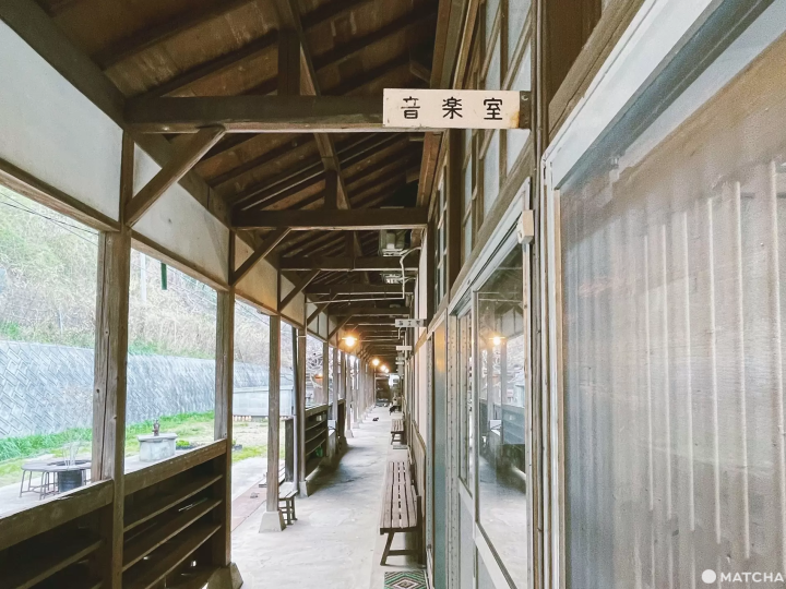 【香川】來到瀨戶內海的貓島「佐柳島」與喵星人共度悠哉的兩天一夜！