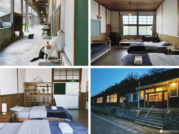 【香川】來到瀨戶內海的貓島「佐柳島」與喵星人共度悠哉的兩天一夜！