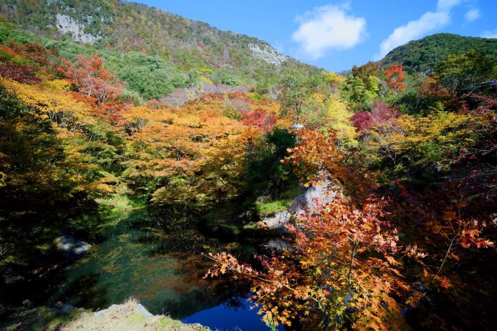 美しい陶器「無名異焼」をお土産に。多様な自然と文化の吹きだまりで感じる、佐渡金山と赤土の伝統工芸