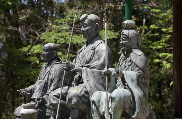 奈良・吉野杉が育まれる多様な自然環境と文化の歴史