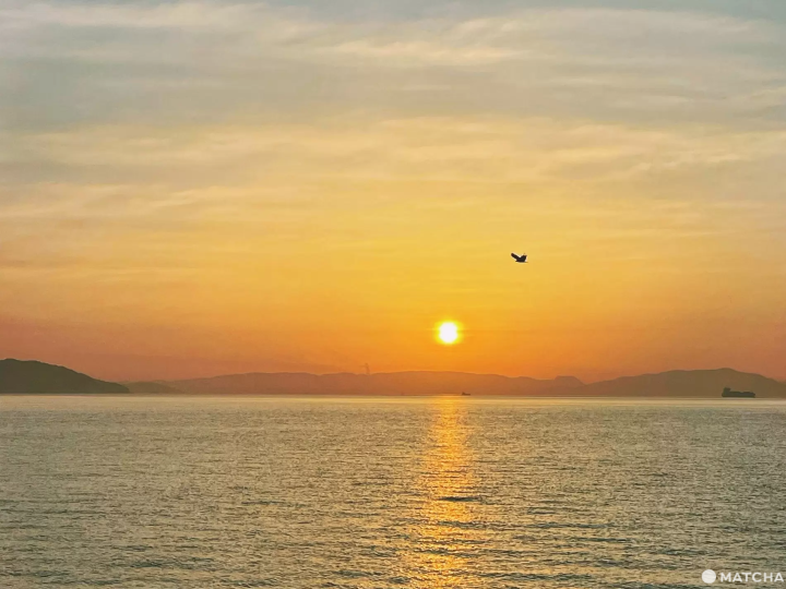 【香川】來到瀨戶內海的貓島「佐柳島」與喵星人共度悠哉的兩天一夜！