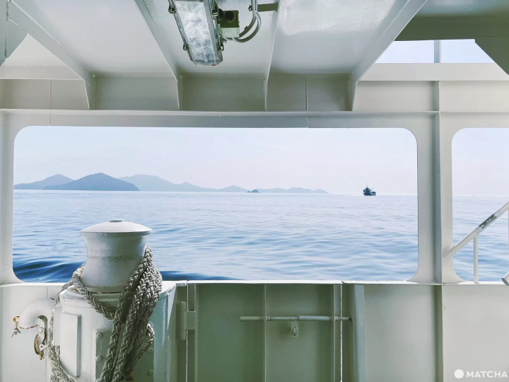 【香川】來到瀨戶內海的貓島「佐柳島」與喵星人共度悠哉的兩天一夜！