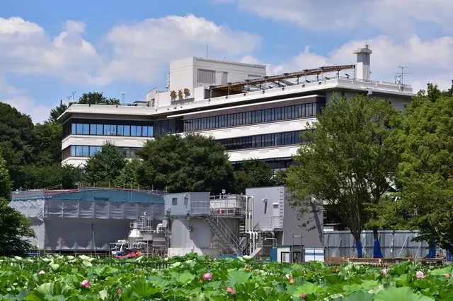  上野公園完全指南，園內14項設施與看點大解說